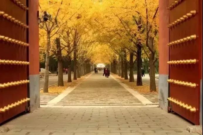 2021北京红叶观赏指南，10处绝美赏红地推荐，错过就要等明年了