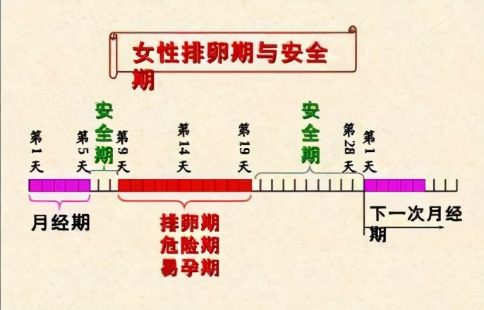 绝对安全期(女人哪几天是绝对安全期)