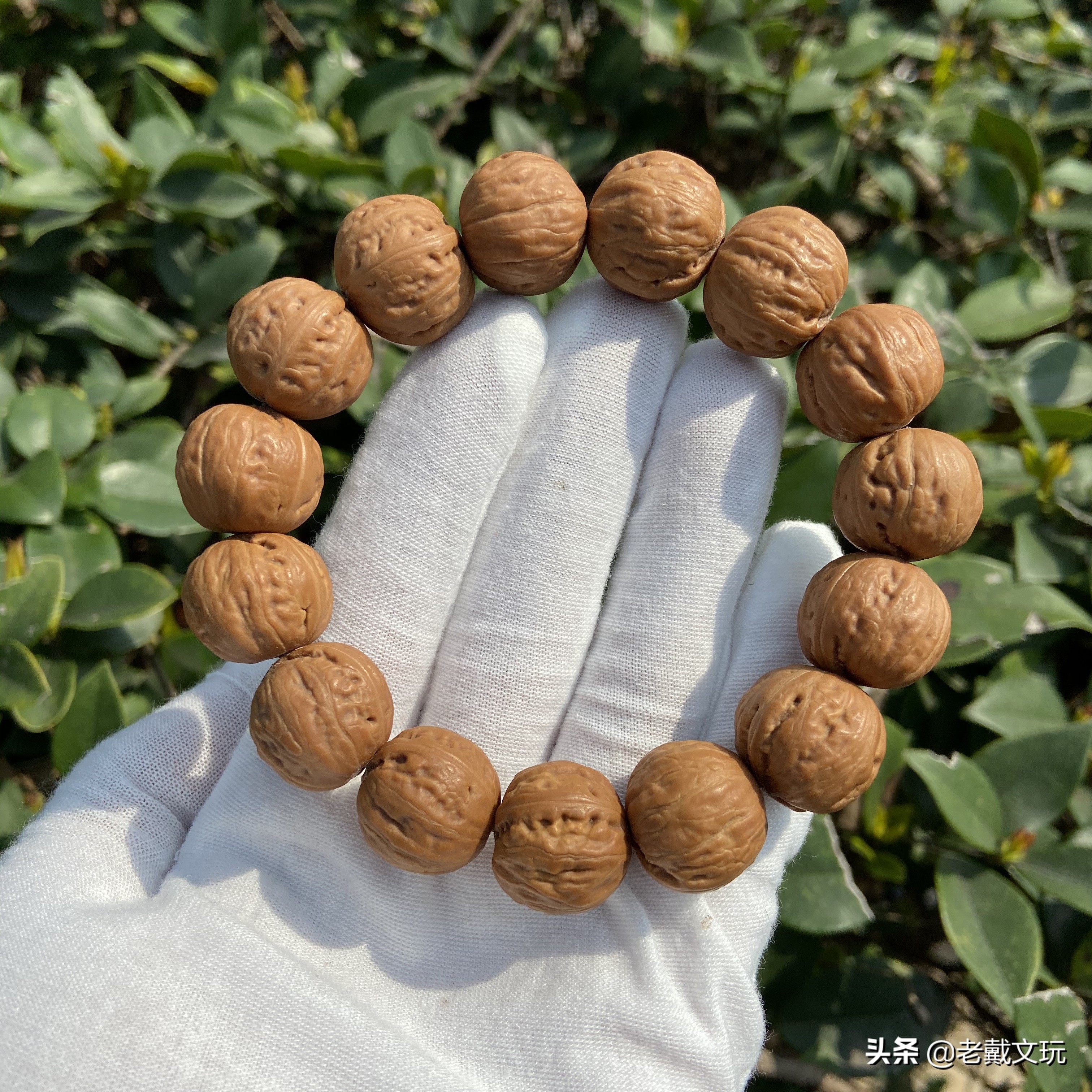 谈谈小秋子的选购和品鉴标准(海南黄花梨手串价格) 第8张