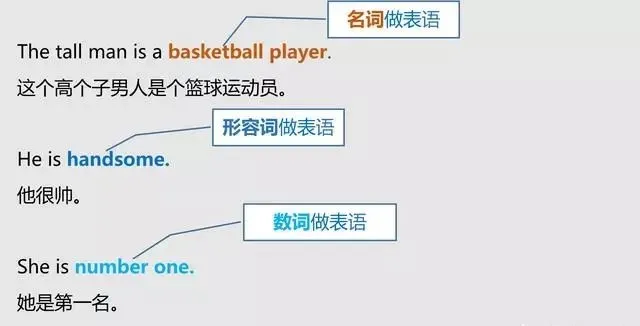 怎样分清英语中的主语、谓语、宾语、定语、状语、补语和表语？