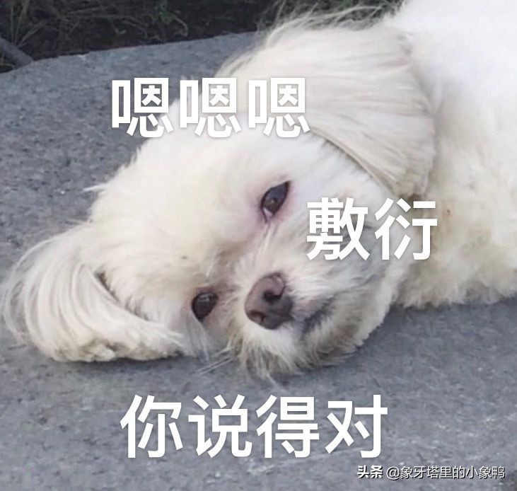 还在纠结怎么选快递公司？记住这几点让你用最省钱的方式寄快递