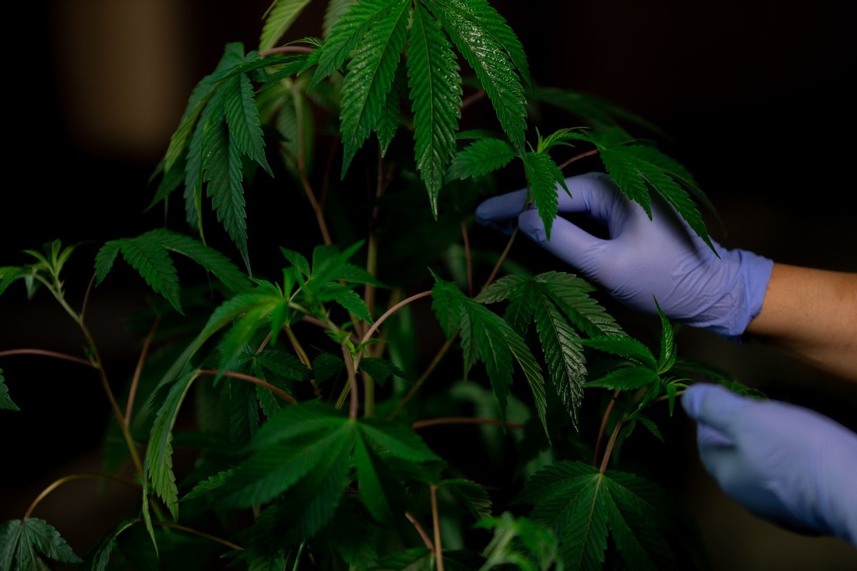 农业还有哪些蓝海-庄稼医院是一个创新创业机会点