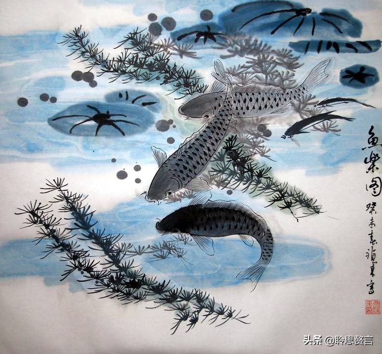 观鱼诗词精选二十四首 我嗟不及群鱼乐，虚作人间半世人