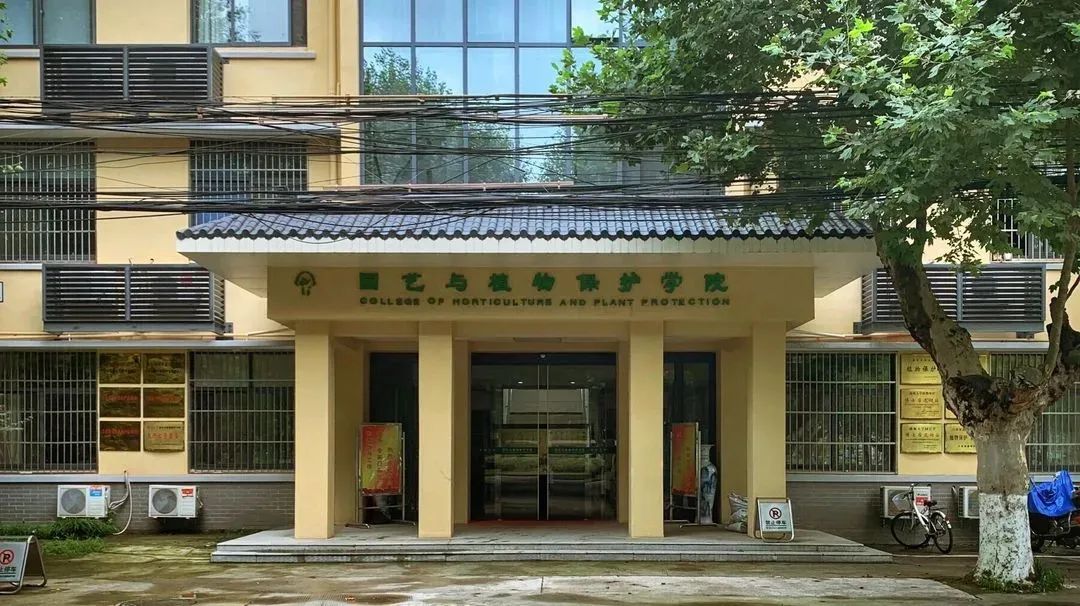报了！扬州大学
