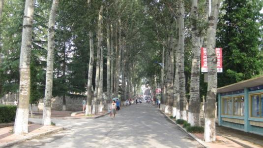 山东省烟台市——鲁东大学！