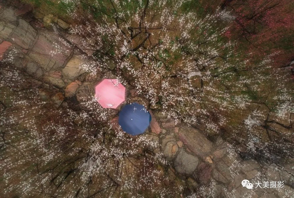 干货 | 7种常见又实用的摄影构图方式，速速收藏