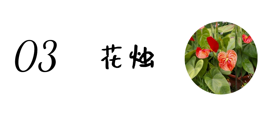 朋友搬家送什么礼物好 乔迁新居送什么（朋友搬家送什么礼物好实用）