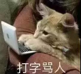 暴躁猫咪表情包：说人话