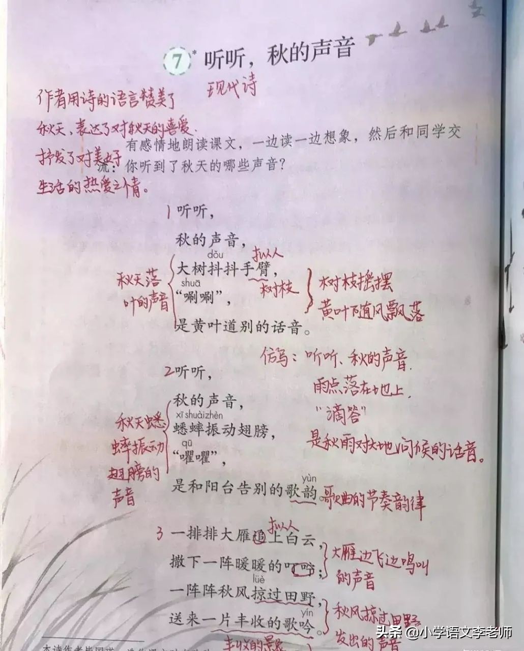 三年级语文上册《听听，秋的声音》全解，整理全面细致