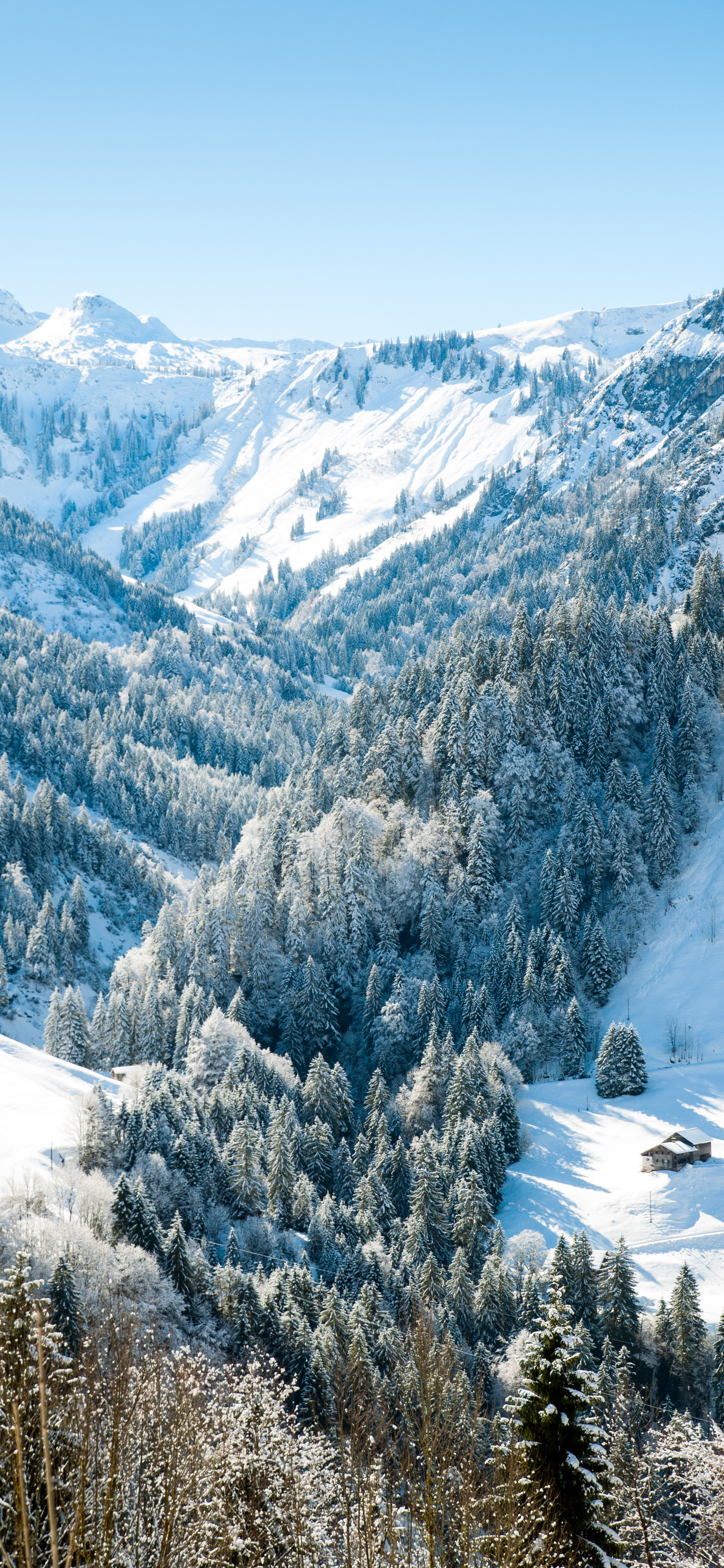 雪山壁纸︱沿途有风景，背后有阳光