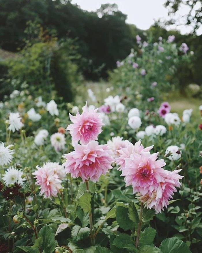 关于对亲人思念祈福的句子！