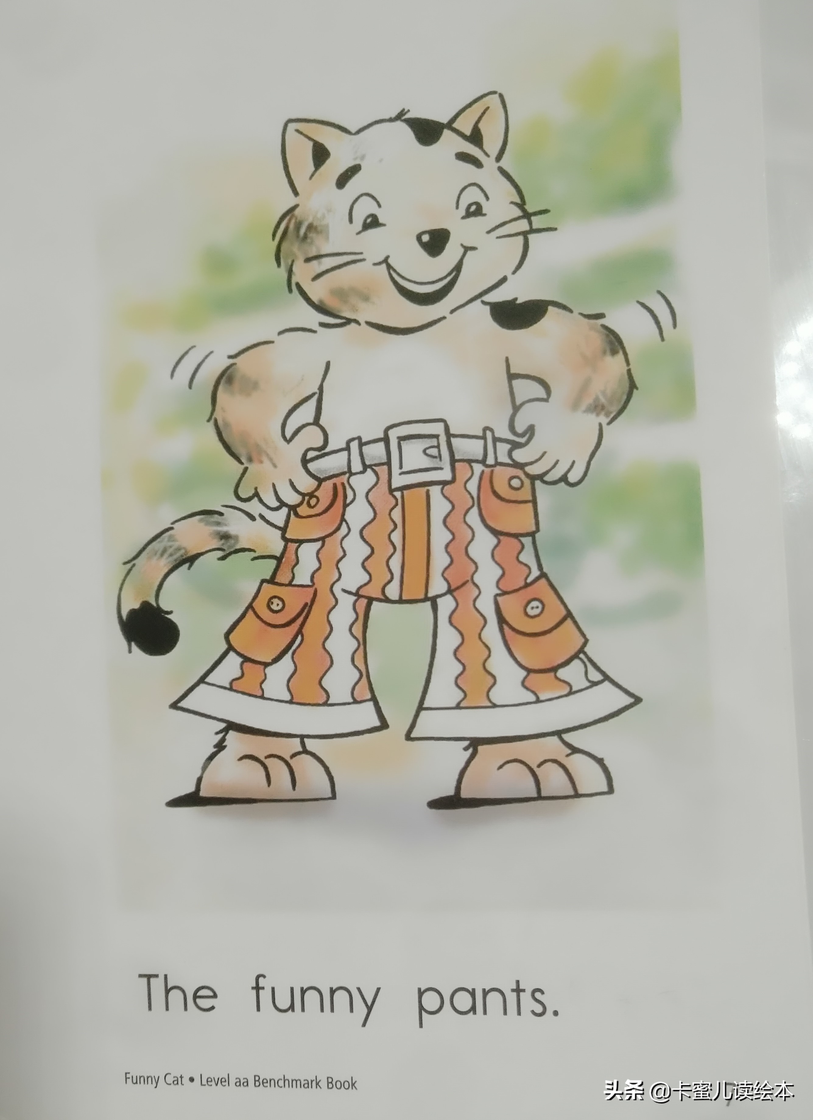 有趣的眼镜the funny cat.有趣的猫