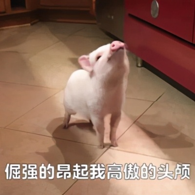 你的「体脂率」可能比猪高，快来测测你的体脂率