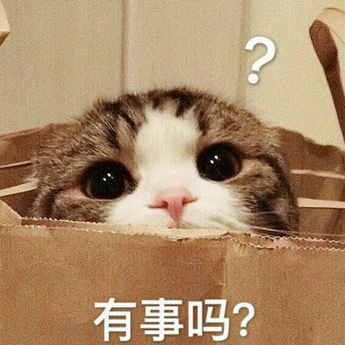 表情包：单挑吗？