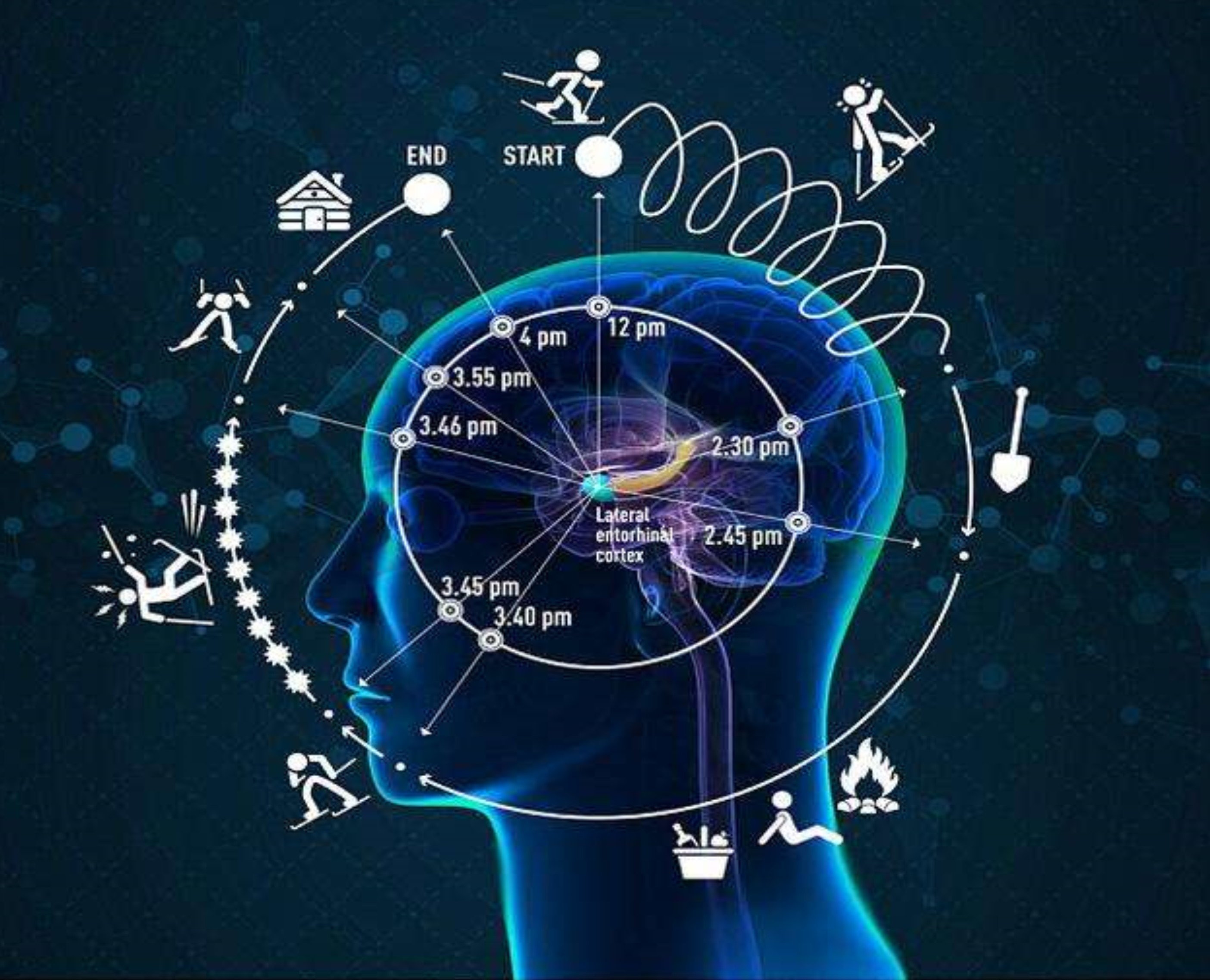 人类个体意识是遗传和生存成长环境联合造就的
