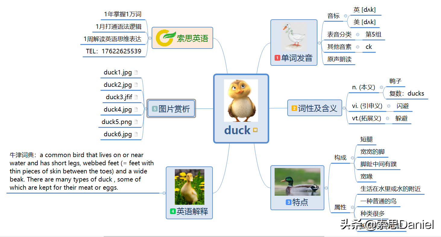 索思解码单词（第4个）——duck