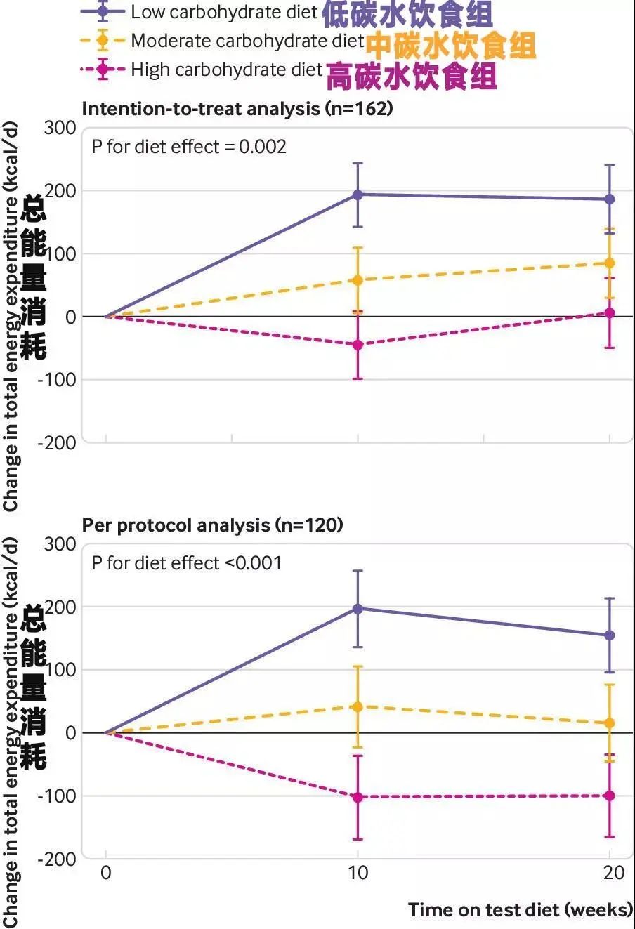 牛津学术：不反弹，多吃一点，也不胖的秘籍，被哈佛教授发现了