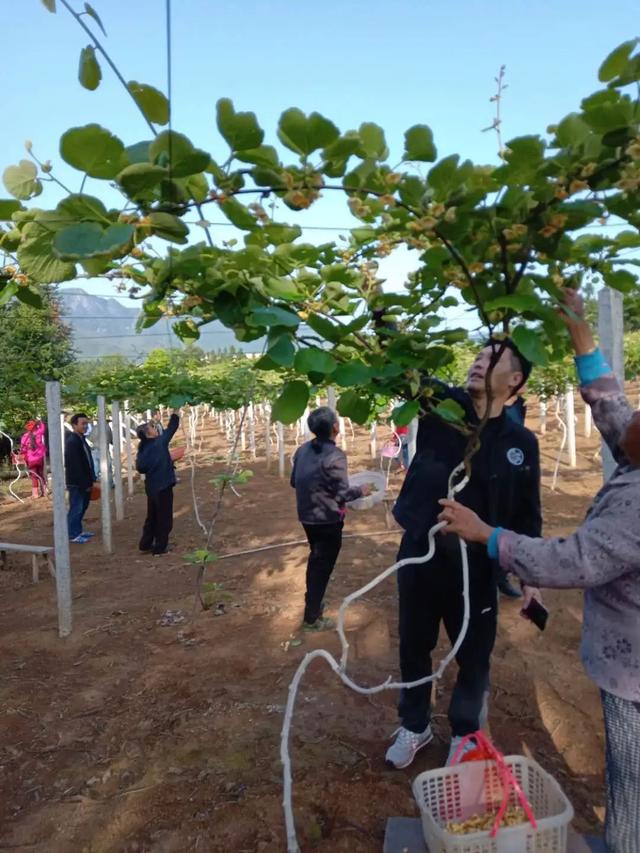 【每周警讯】平安衡阳市周报第1期（4.11——4.17）