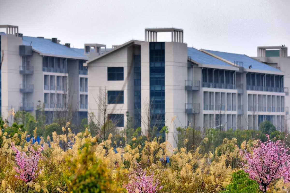 重庆三峡学院将更名？官方回应来了，或与三峡相关，提升知名度