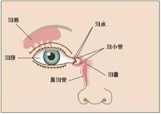 一,鼻泪管堵塞