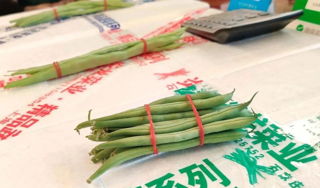 上海江桥：散菜花、莴笋、西葫芦、部分叶菜价格上涨，甜玉米下跌，百合价格亲民