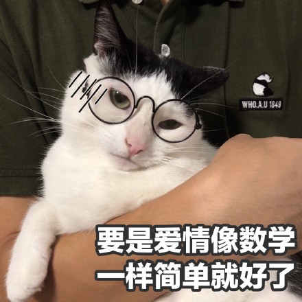 猫咪撩妹表情包：你是我见过女孩子中最美又最可爱的一个