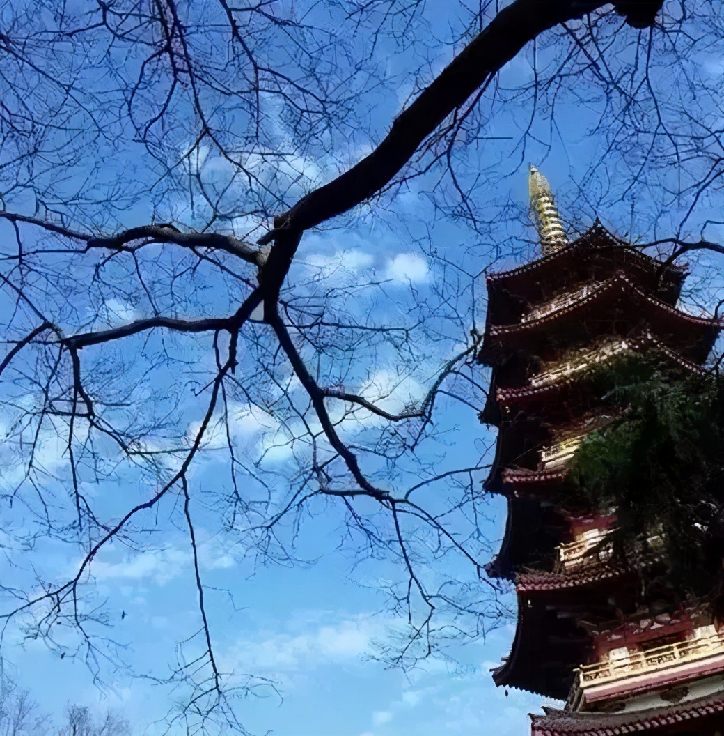 坚持到底的故事(为什么工资低还有人做)