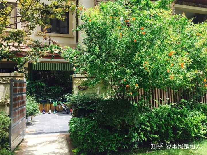 武汉私立幼儿园Top15榜单出炉，最贵的幼儿园1年15w