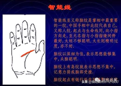 通用的简易手相算命图解——掌握自己的命运密码。
