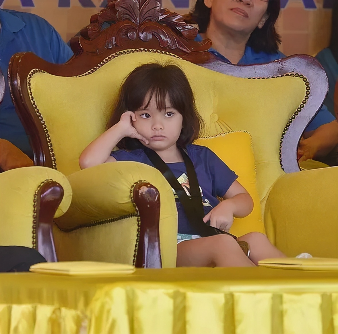 皇家共享小公主(马来西亚王室最受宠的小公主)