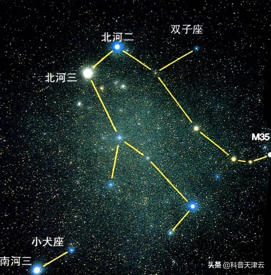 【科学向日葵】双子座的故事，一起了解下~