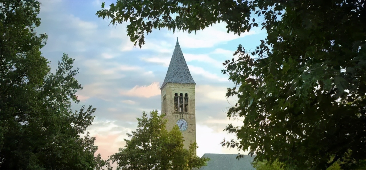 10个留学生 其中5个都是学CS。美国本科计算机专业排名发布