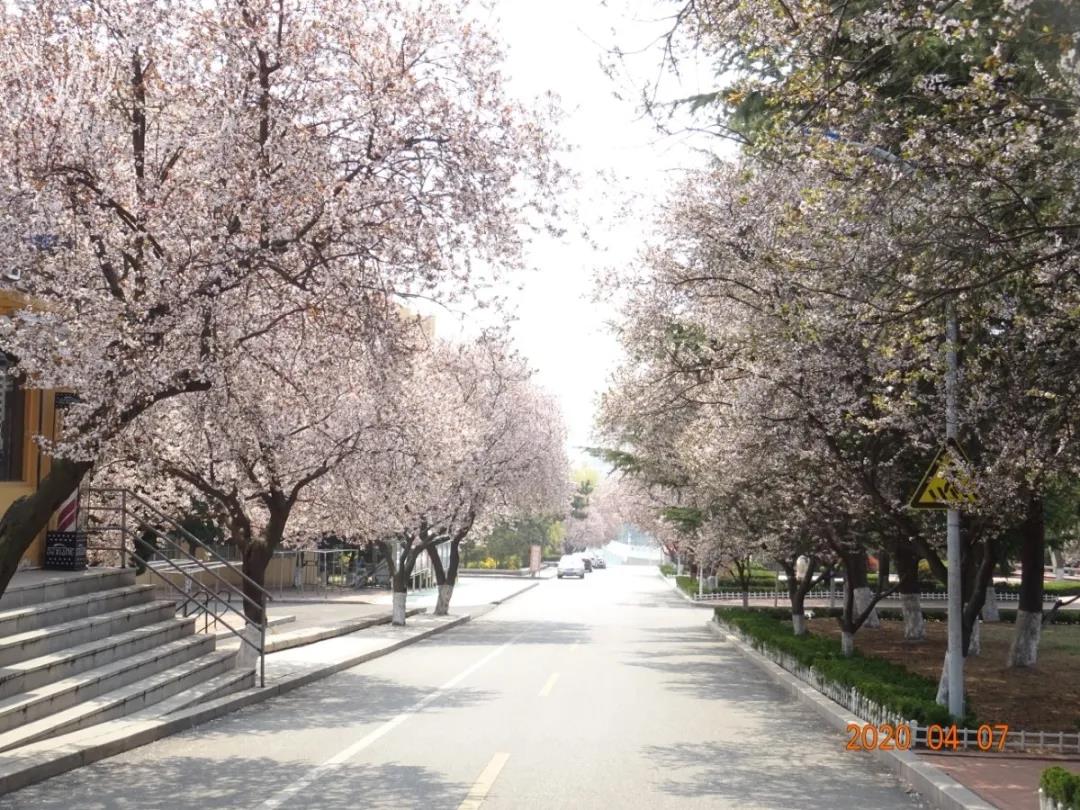 高清曝光！坐拥神仙颜值，山东最美“校花”就在这所大学里！