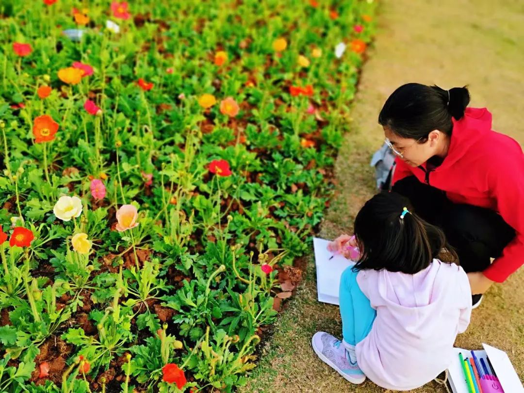 天河｜花城看花丨天河公园，虞美人花开，春摇荡