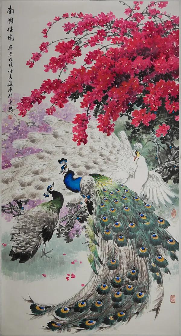 孔雀东南飞！高贵、冷艳的白孔雀