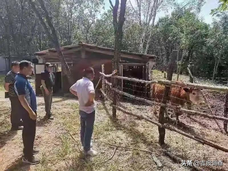 养殖业贷款,养殖业贷款怎么贷