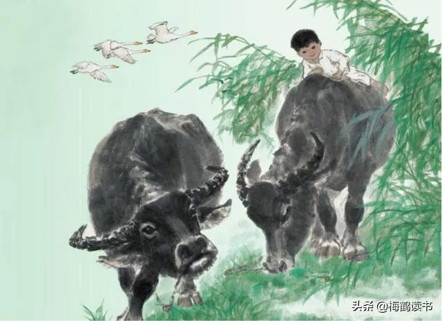 悠悠然然,随心而行,静听花落,坐看云舒,读他们笔下这些诗