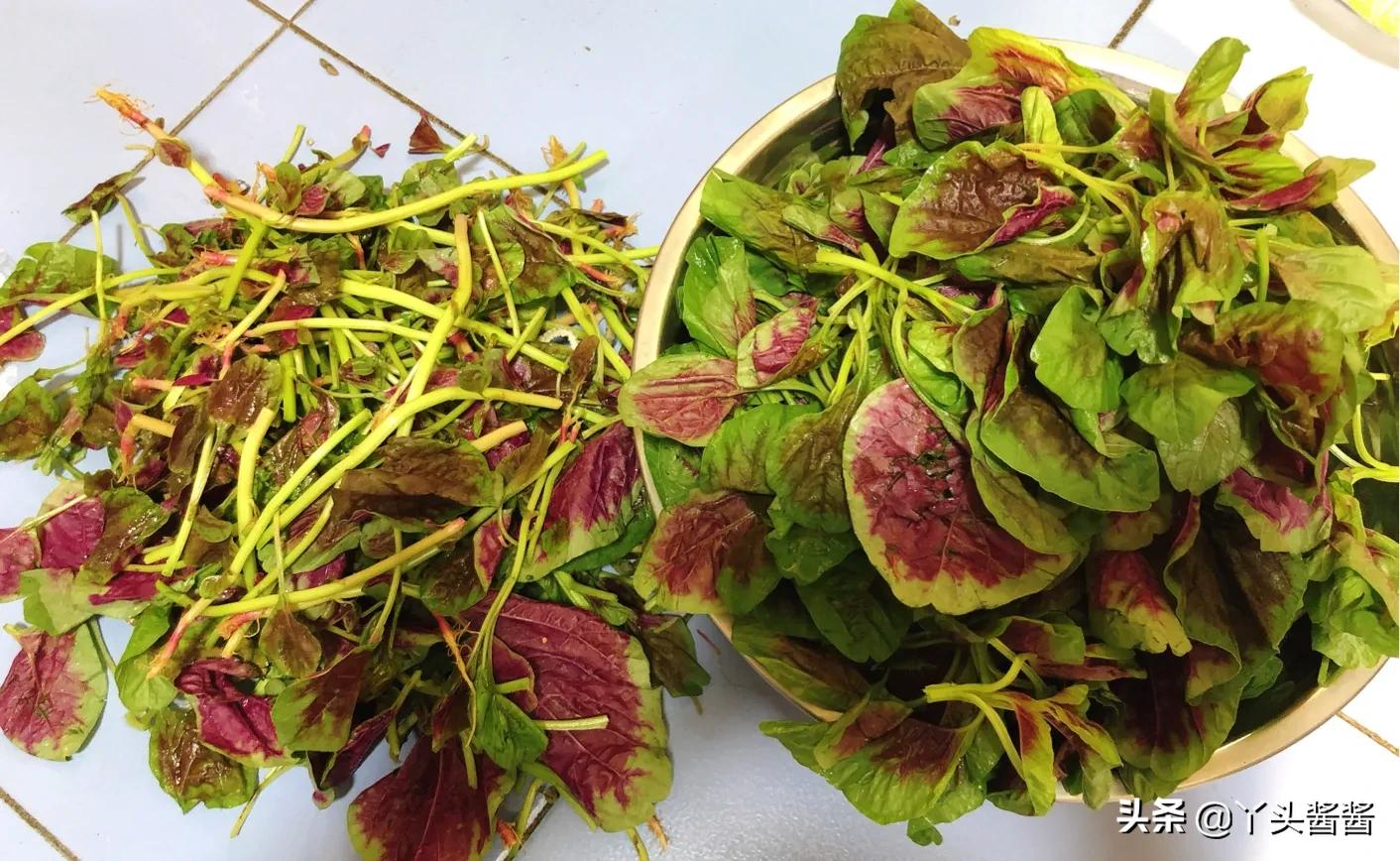 清明节前后,这种蔬菜别错过,富含天然叶酸,孕妇小孩要多吃