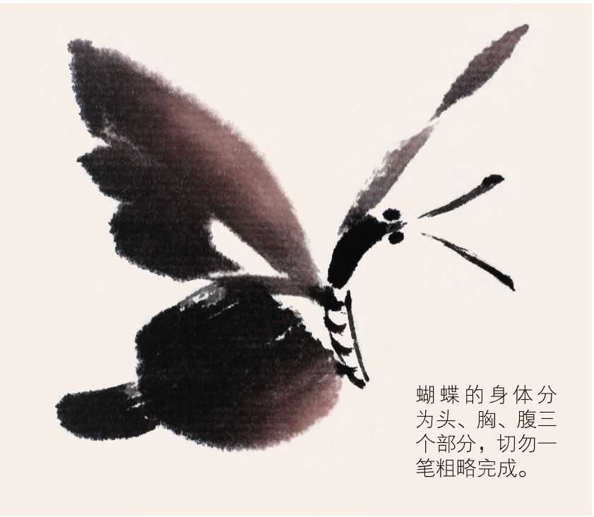 蜻蜓蝴蝶不会画？那是你没有学会这几点，简单易学的国画，快收藏