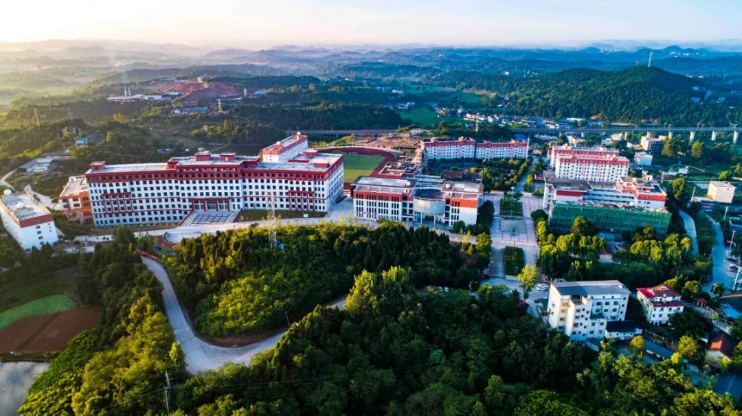 四川单招“文化艺术”大类相关专业及院校推荐