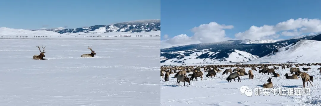 当大雪飞过那个小镇，我哪儿都不去 | 当我滑雪时我在想什么