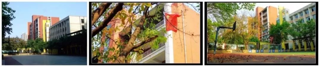 重庆一中各分校师资、学费、分班、作息等都在这里