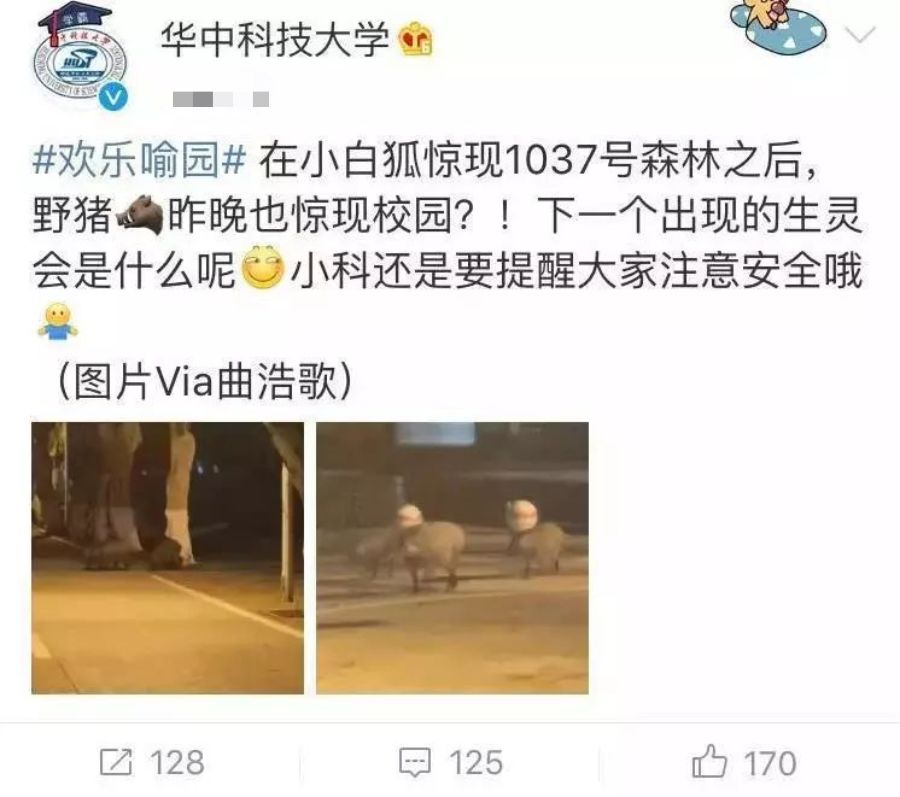 高校各种“神兽”出没，你的大学有什么？