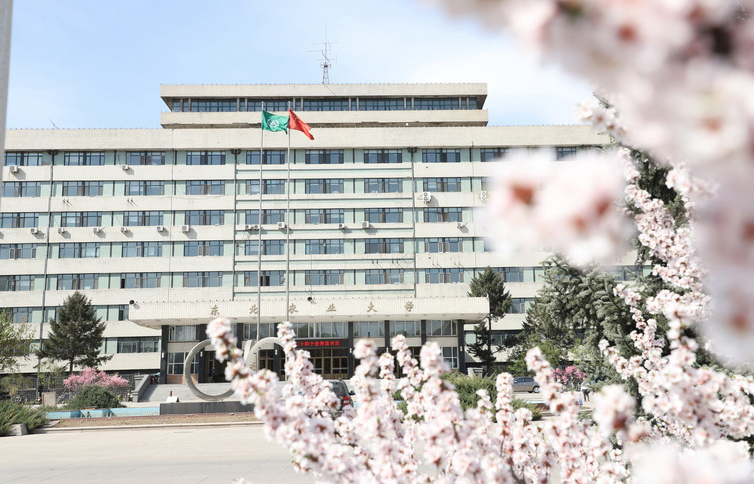 门槛不高、就业好的三所211大学，550分以下可报考，中等生别错过