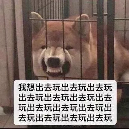 表情包：想吃涮羊肉 虾滑 毛肚 肥牛卷 金针菇 土豆丝……