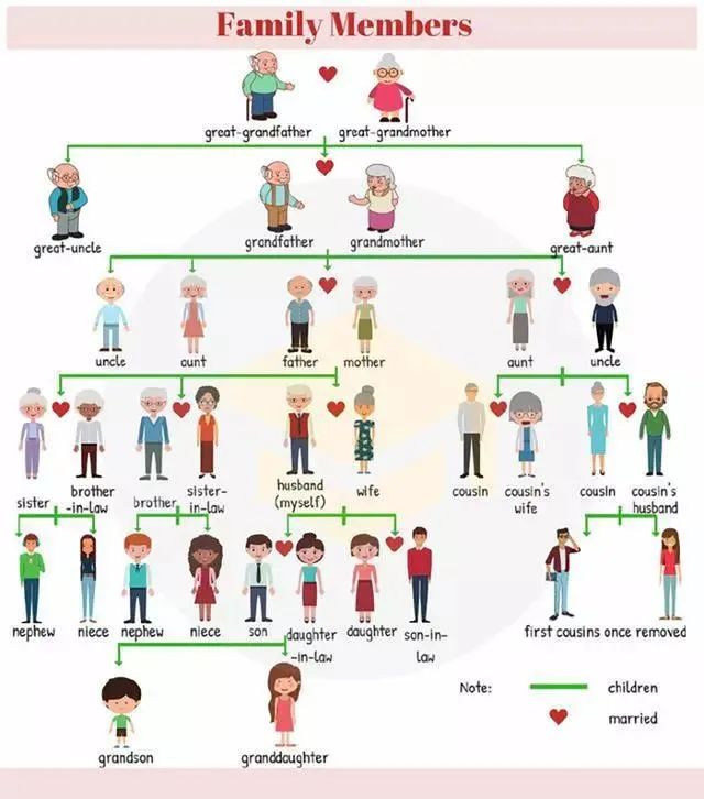 阿姨用英语怎么说(所有家庭成员英文称呼大全)-知识分享