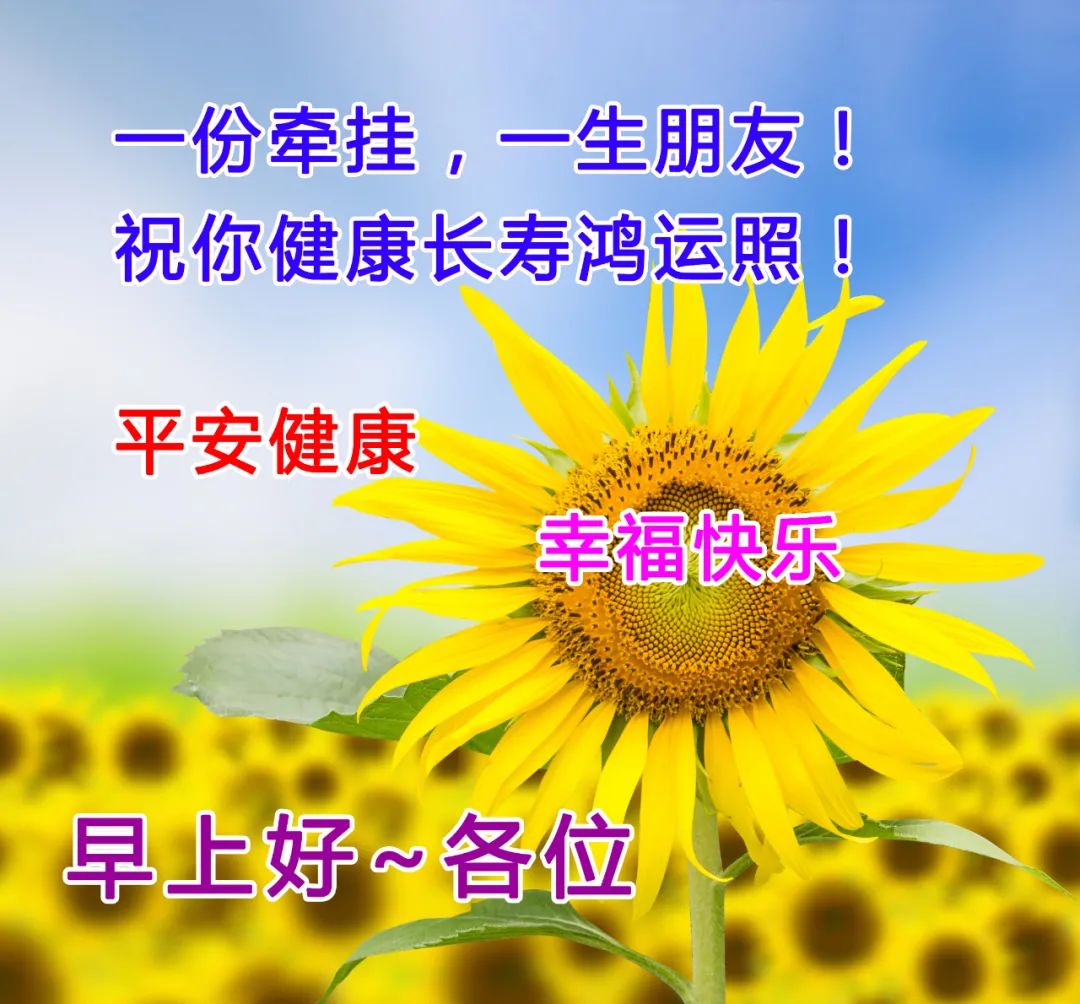今天最新的早安语图片,愿你健康长寿,好运常来,开心快乐