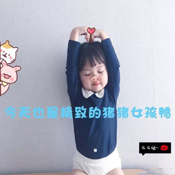 表情包：今天也是精致的猪猪女孩