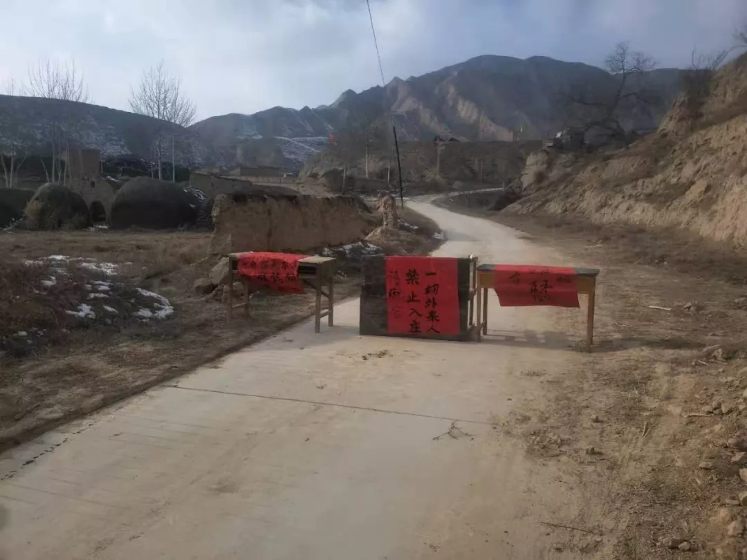 一个大学教师的返乡“疫情”日记