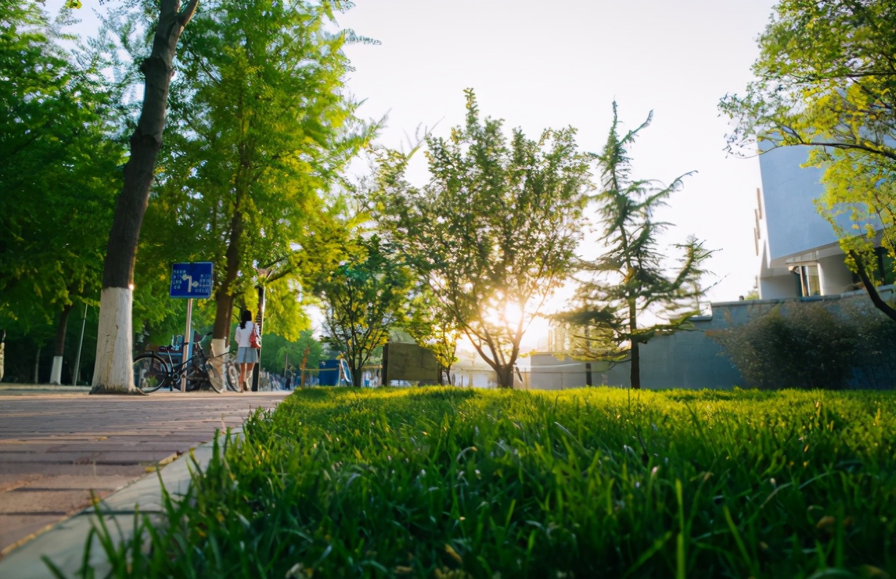 揭秘中国顶尖211高校的真实实力！14位院士坐镇，一年“壕撒”上千万！